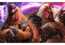 Đá gà FB9 – Cá cược đá gà trực tuyến hấp dẫn nhất 2023 FB9 cập nhật đa dạng hình thức cá cược đá gà