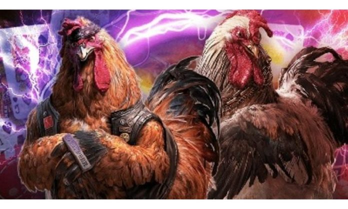 da-ga-fb9-4 FB9 cập nhật đa dạng hình thức cá cược đá gà